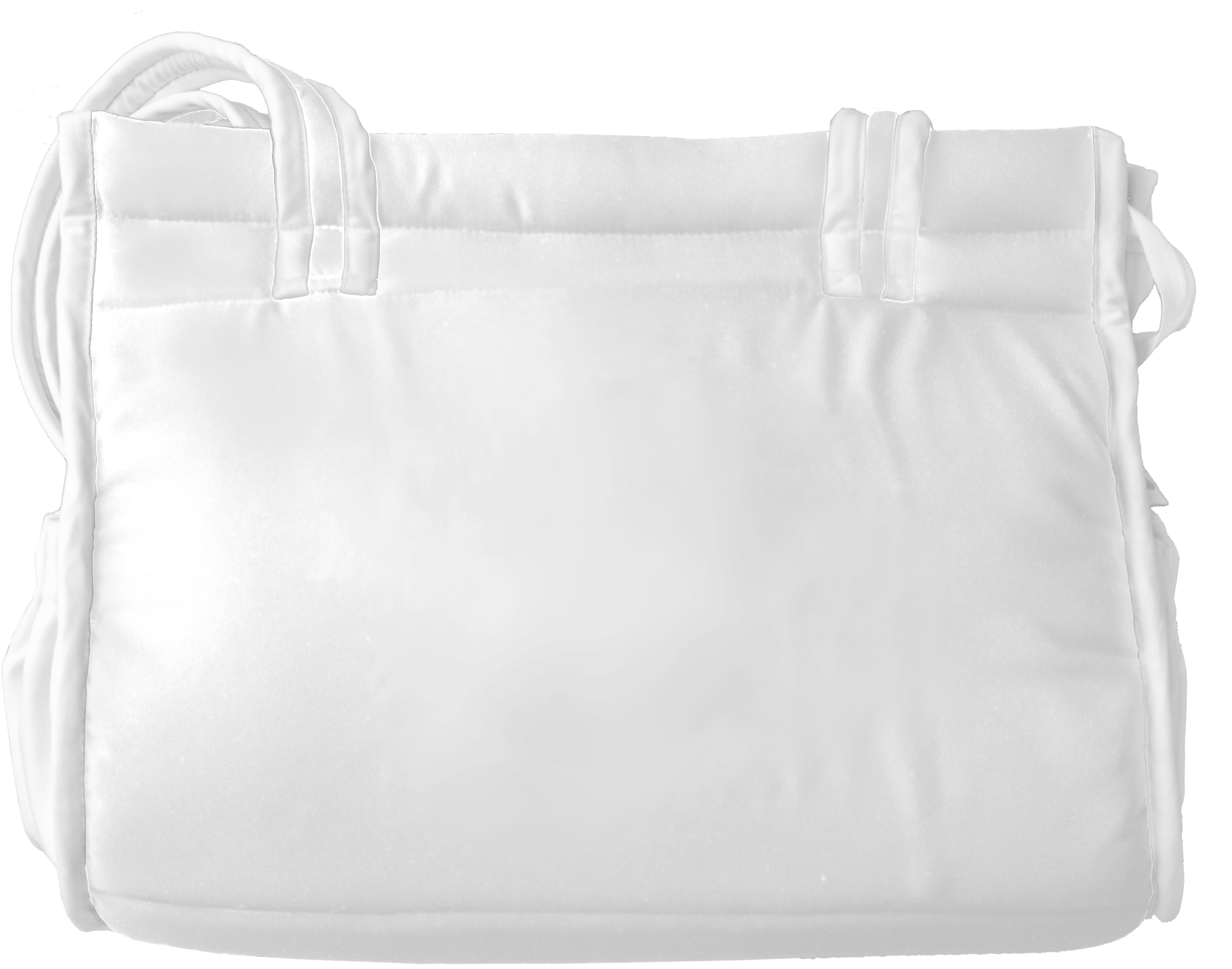 bag-fat